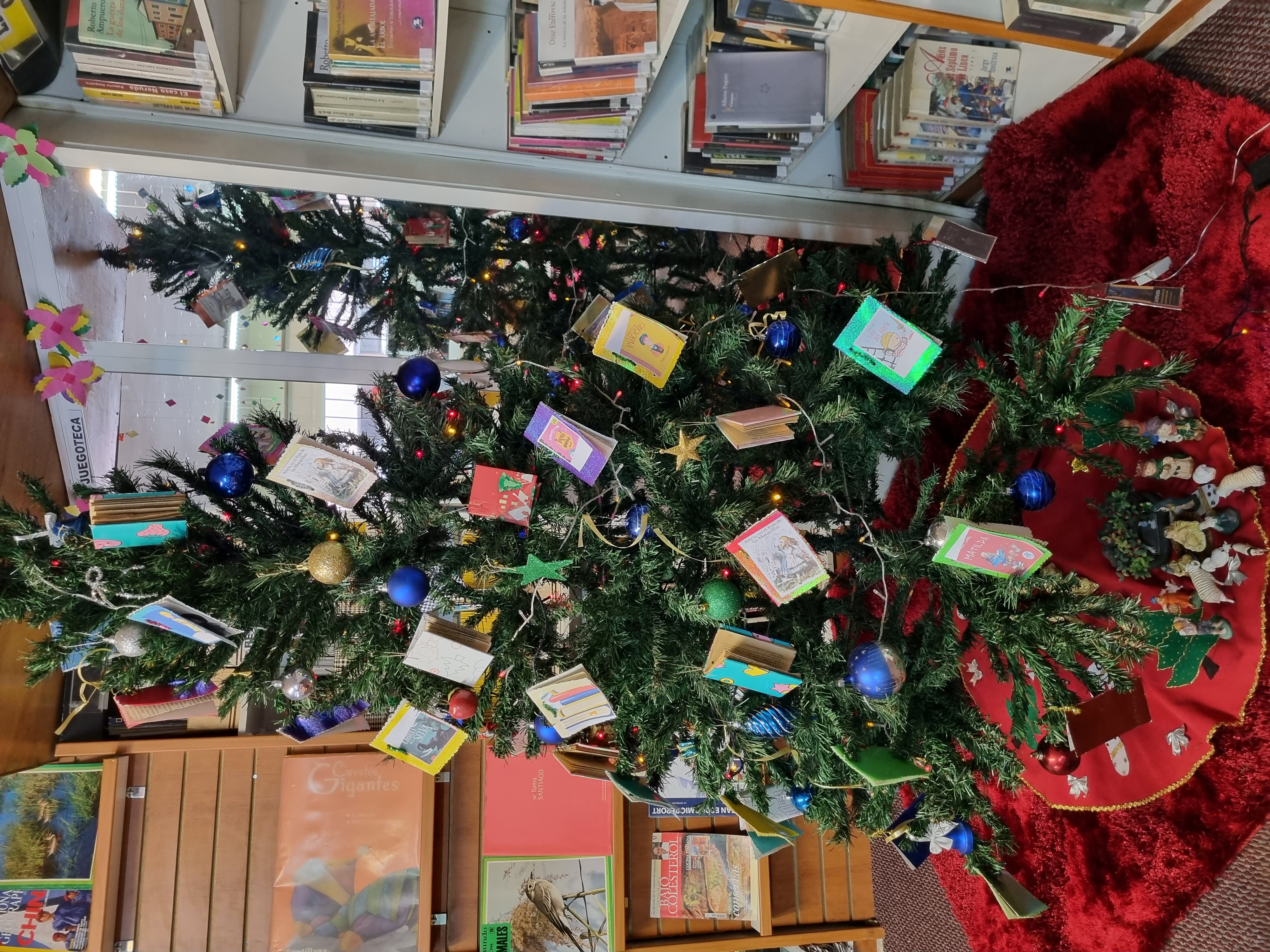 Imagen de la galería